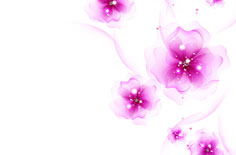 法国在新年前夜将调遣9万警力维护公共秩序