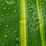 极越汽车发布《债权申报指南》，12 月 26 日前需完成申报