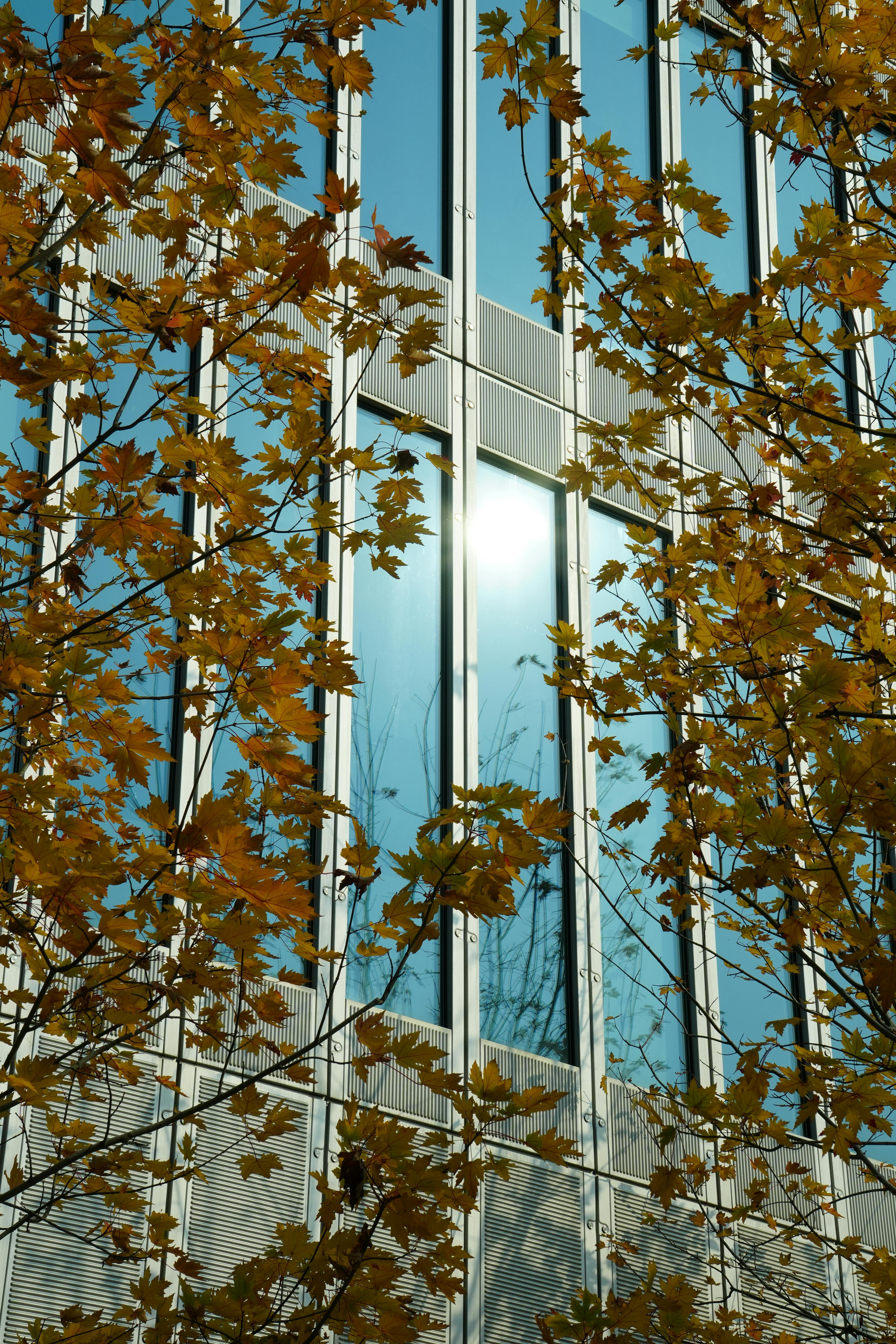 市场监管总局：平台要求商家“全网最低价”可能构成垄断 - 图片1