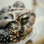 国台办回应赖清德遭“弹劾”：违背民意 人心尽失